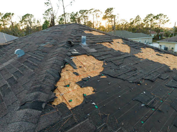 Professional Roofing Service in Prior Lake, MN
